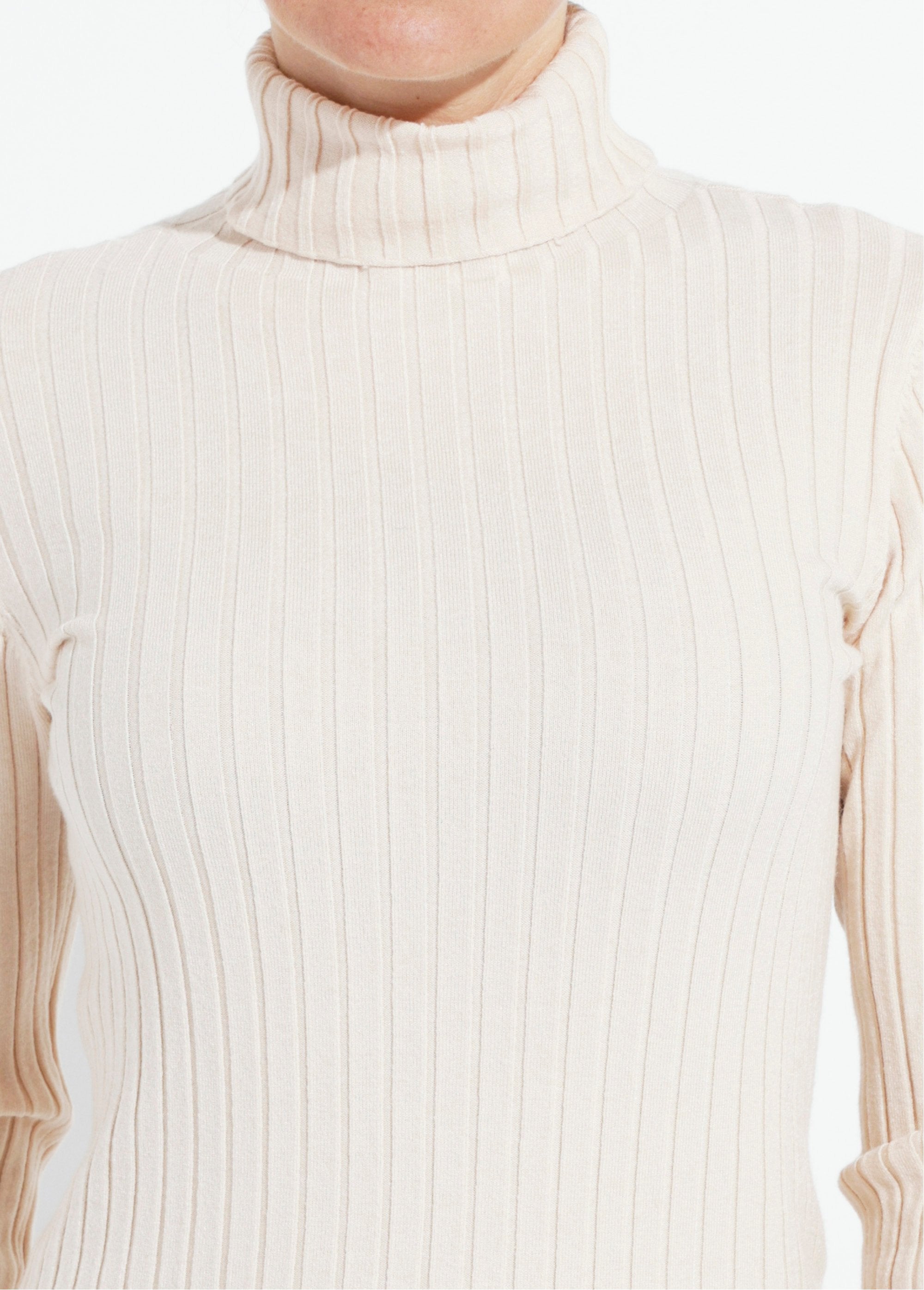Fine_turtleneck_sweater,_flat_knit_Beige_DE1_slim