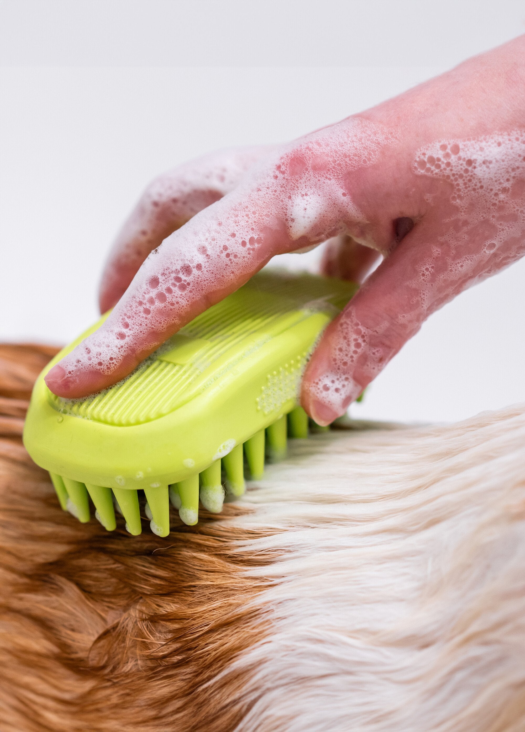 Shampoing_soin_démêlant_pour_chien_Blanc_DE1_slim